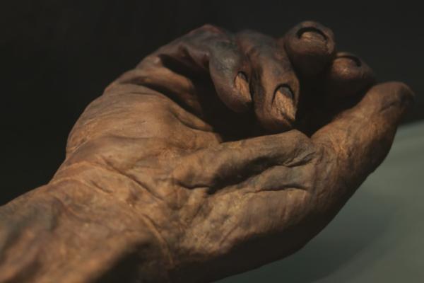 Bild 1 von 5: Diese Moorleiche war ein keltischer König und wurde vor etwa 2000 Jahren den Göttern geopfert.