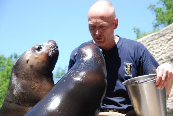 Bild 1 von 1: Tierpfleger Frank Staatsmann im Seelöwen-Kindergarten.