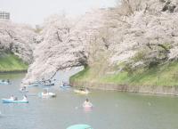 Shinkansen: Der pünktlichste Zug der Welt