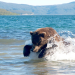 Wildes Eden: Russland