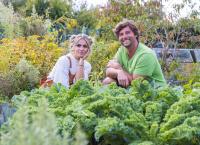 Mein urbaner Garten - Zwischen Blüten und Beton