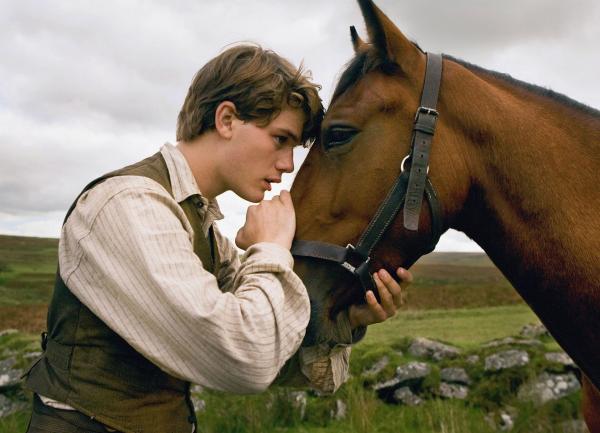 Bild 1 von 1: Gefährten