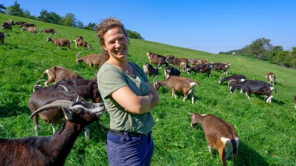 Bild 1 von 7: Mira Kuhlmann wird von einer Ziege angeknabbert.