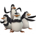 Die Pinguine aus Madagascar