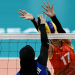 Volleyball Live - Bundesliga