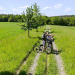Bild 16