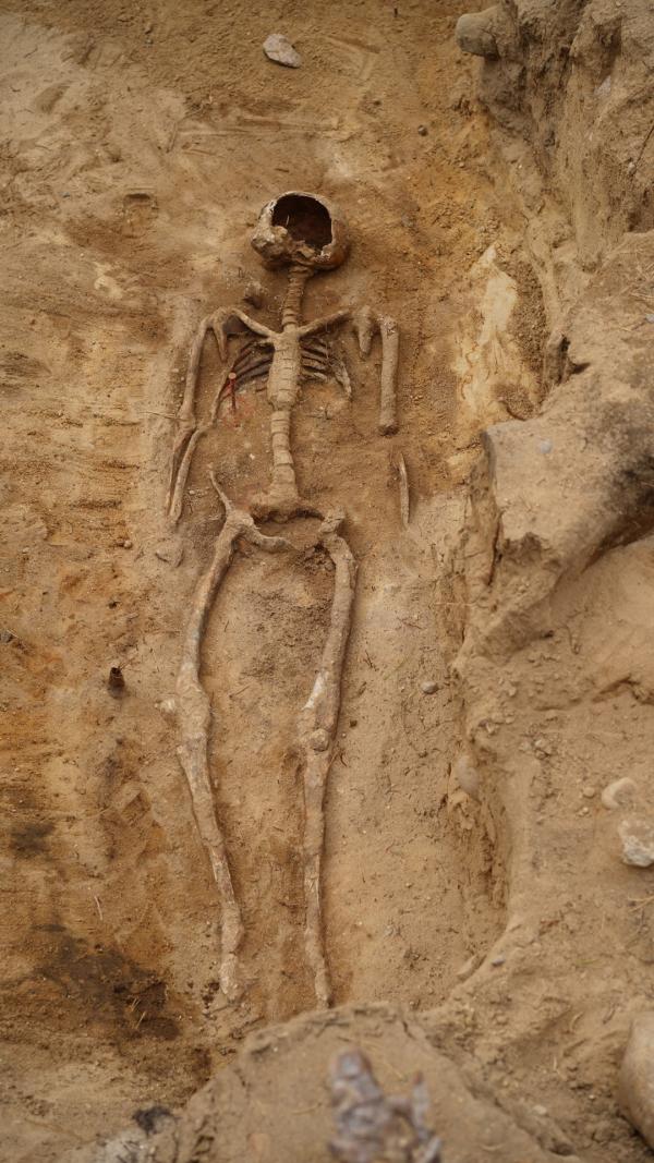 Bild 1 von 8: Spurensuche an einem Ort des Grauens: Archäologen haben auf der einstigen Richtstätte in Bad Belzig die sterblichen Überreste eines zu Tode Verurteilten freigelegt. Was geschah bei Hinrichtungen früher wirklich?