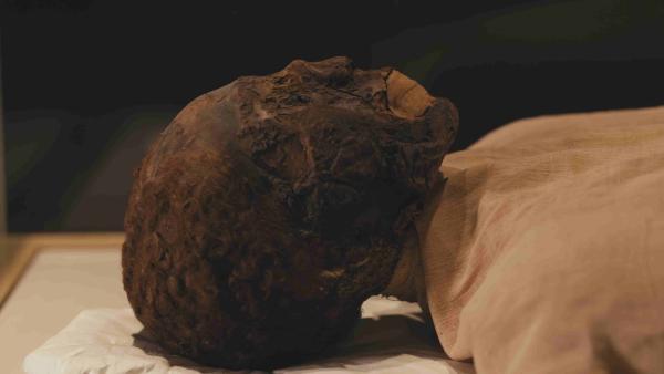 Bild 1 von 4: Mumie des Pharaos Merenptah: War er zur Zeit des biblischen Exodus Ägyptens König?