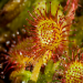 natur exclusiv