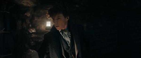 Bild 1 von 8: Newt Scamander (Eddie Redmayne)
