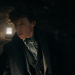 Phantastische Tierwesen: Dumbledores Geheimnisse