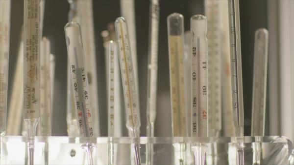 Bild 1 von 9: Wichtige Helfer im Krankheitsfall: Fieberthermometer.