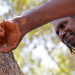 Die sprechenden Felsen der Aborigines