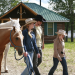 Heartland - Paradies für Pferde