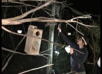 Anna und die wilden Tiere