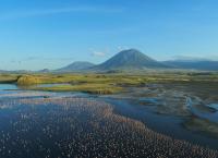 Afrikas Ikonen der Tierwelt