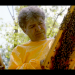Die Bienenflüsterer