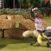 Shaun das Schaf
