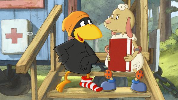 Bild 1 von 6: Socke braucht Wolle als Dedektiv Assistenten.