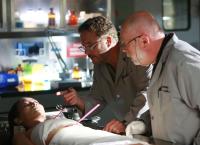 CSI: Den Tätern auf der Spur