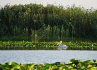 Kulturlandschaften Europas