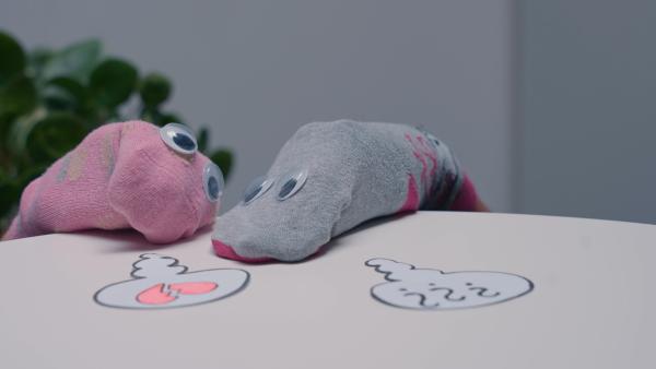 Bild 1 von 5: Eine Suchaktion, die die ganze Menschheit umtreibt! Wo ist die zweite Socke? Für alle einsamen Sockenseelen, die auf der Suche nach einem neuen Partner sind, gibt es sogar einen eigenen Gedenktag: den 9. Mai.