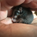 Abenteuer Wildnis