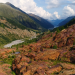Tierwelt der Alpen