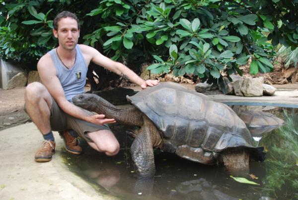 Bild 1 von 1: Riesenschildkröten erhalten einen ganz besonderen Service.