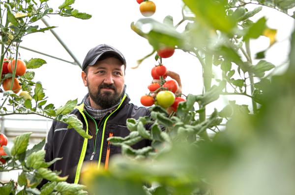 Bild 1 von 4: Gemüsegärtner Constantin Maftei arbeitet auf Gut Wulfsdorf. Hier, nordöstlich von Hamburg, betreibt man biodynamische Landwirtschaft.