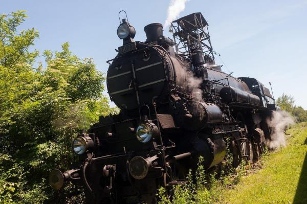 Bild 1 von 35: Im Bild: Eisenbahnmuseum Heizhaus Strasshof, Schnellzuglok 310.23.