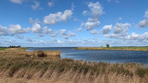 Bild 1 von 3: .