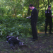 Criminal Intent - Verbrechen im Visier
