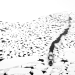 Rückkehr zum Land der Pinguine