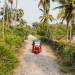 Young Adventurers - Sri Lanka - Allein im Tuktuk über die Insel