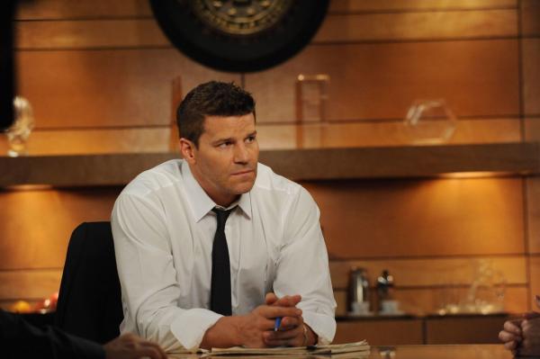Bild 1 von 9: Seeley Booth (David Boreanaz)
