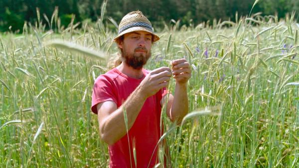 Bild 1 von 5: Tristan Billmann hätte auch an der Uni bleiben und Professor werden können - stattdessen rettete er den elterlichen Hof und experimentiert mit neuen Gemüsesorten und einem Anbau ohne künstliche Bewässerung.