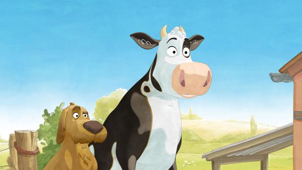 Bild 1 von 3: Der Hofhund will keinen zweiten Wachhund auf dem Hof.