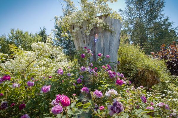 Bild 1 von 3: .