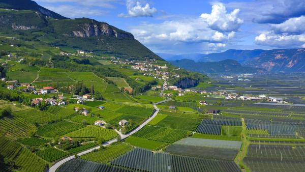 Bild 1 von 13: Im Bild: Weinlandschaft Bozen.