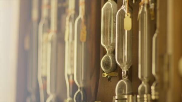 Bild 1 von 9: So viele analoge Fieberthermometer auf einmal gibt es heute nur noch im Museum.