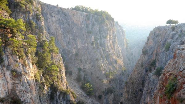 Bild 1 von 6: .