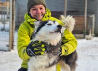 Das Camp in der Wildnis