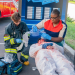 Bild 15