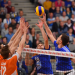 Volleyball Live - Bundesliga