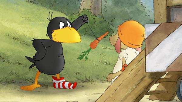 Bild 1 von 4: Mit einer Karotte versucht Socke Wolle zu hypnotisieren.