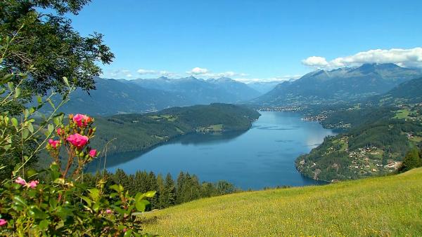 Bild 1 von 1: .