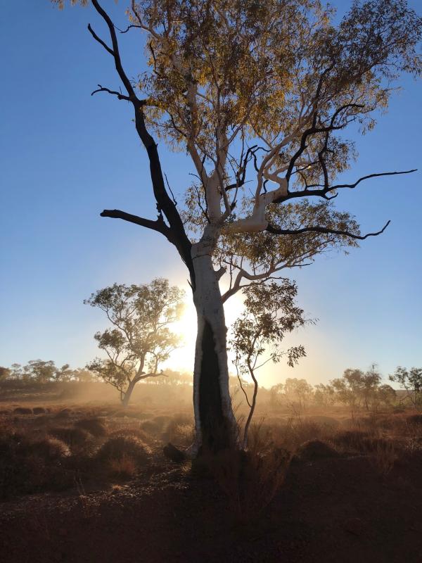 Bild 1 von 7: Karijini Nationalpark in Australien.