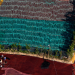 Planet Ocean 1