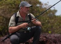 Giganten unter Wasser - Riesenfischen auf der Spur